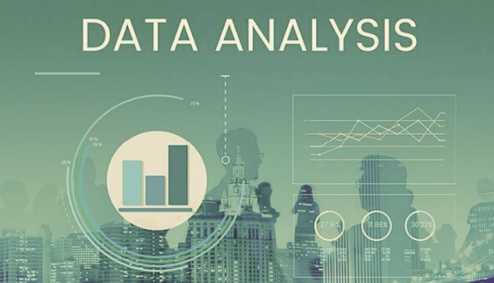 What is the Data Analysis Process